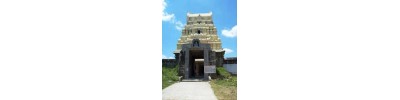 திருப்புலிவனம்